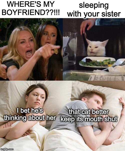 WHERE'S MY BOYFRIEND??!!! sleeping with your sister; I bet he's thinking about her; that cat better keep its mouth shut | image tagged in i bet he's thinking about other women,memes,woman yelling at cat | made w/ Imgflip meme maker