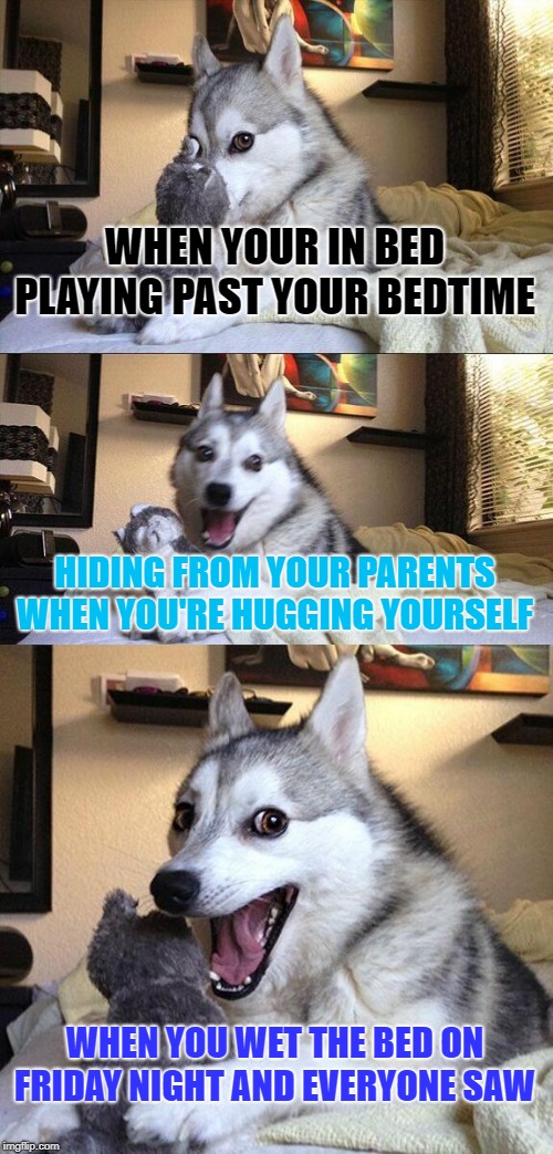 Bad Pun Dog Meme | WHEN YOUR IN BED PLAYING PAST YOUR BEDTIME; HIDING FROM YOUR PARENTS WHEN YOU'RE HUGGING YOURSELF; WHEN YOU WET THE BED ON FRIDAY NIGHT AND EVERYONE SAW | image tagged in memes,bad pun dog | made w/ Imgflip meme maker