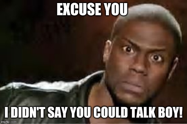 Kevin Hart Look At This | EXCUSE YOU; I DIDN'T SAY YOU COULD TALK BOY! | image tagged in kevin hart look at this | made w/ Imgflip meme maker