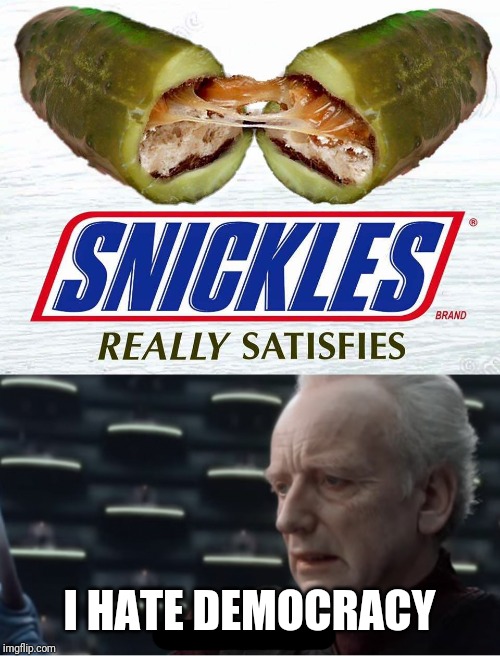 I HATE DEMOCRACY | image tagged in i love democracy,snickles | made w/ Imgflip meme maker