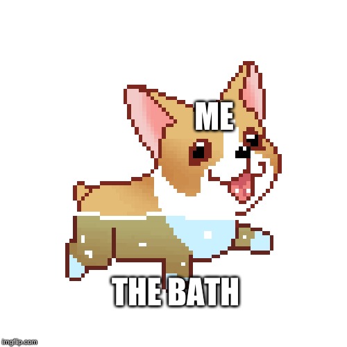 ME; THE BATH | image tagged in bath,dogs | made w/ Imgflip meme maker