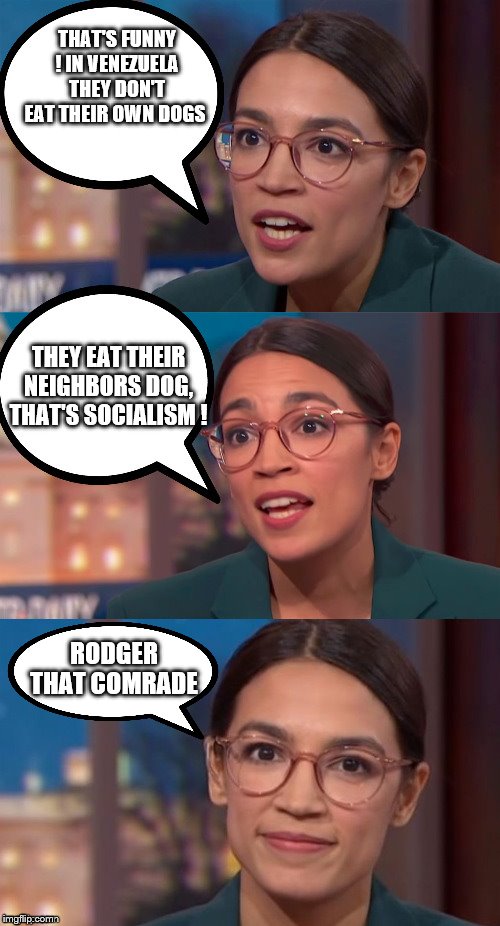 yep | THAT'S FUNNY ! IN VENEZUELA THEY DON'T EAT THEIR OWN DOGS; THEY EAT THEIR NEIGHBORS DOG, THAT'S SOCIALISM ! RODGER THAT COMRADE | image tagged in aoc dialog,aoc,socialism,democrats,bernie sanders,queen elizabeth | made w/ Imgflip meme maker