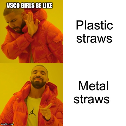 Drake Hotline Bling | VSCO GIRLS BE LIKE; Plastic straws; Metal straws | image tagged in memes,drake hotline bling | made w/ Imgflip meme maker