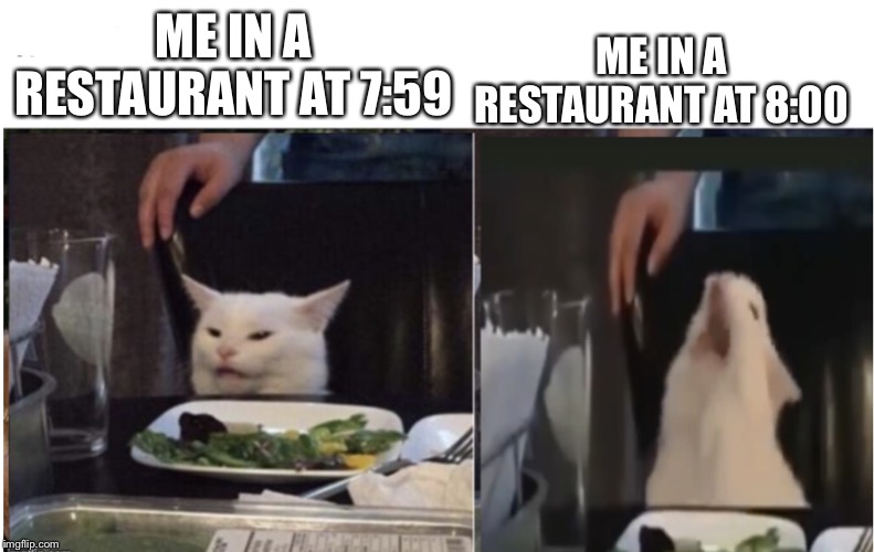Normal to screaming cat | ME IN A RESTAURANT AT 7:59; ME IN A RESTAURANT AT 8:00 | image tagged in cats | made w/ Imgflip meme maker