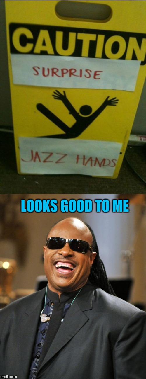 Let's boogie |  LOOKS GOOD TO ME | image tagged in stevie wonder,jazz,looks good to me,memes,44colt,dancing | made w/ Imgflip meme maker