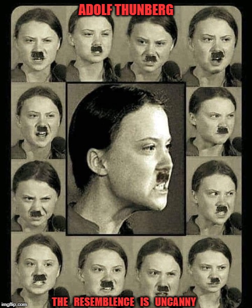 ADOLF THUNBERG | ADOLF THUNBERG; THE   RESEMBLENCE   IS   UNCANNY | image tagged in politics | made w/ Imgflip meme maker