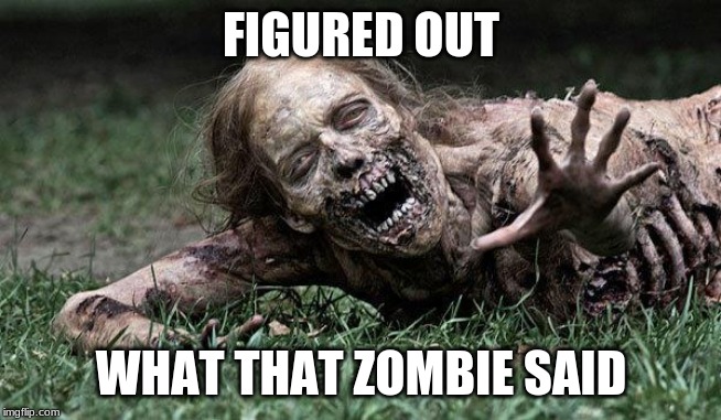 Walking Dead Zombie | FIGURED OUT WHAT THAT ZOMBIE SAID | image tagged in walking dead zombie | made w/ Imgflip meme maker