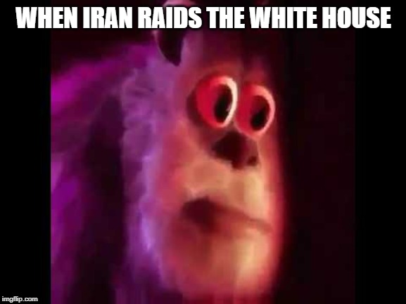 Sully Groan | WHEN IRAN RAIDS THE WHITE HOUSE | image tagged in sully groan | made w/ Imgflip meme maker