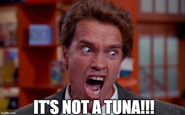 Arnold Schwarzenegger tumor | IT'S NOT A TUNA!!! | image tagged in arnold schwarzenegger tumor | made w/ Imgflip meme maker