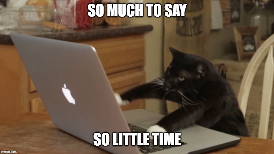 Furiously Typing Cat | SO MUCH TO SAY; SO LITTLE TIME | image tagged in furiously typing cat | made w/ Imgflip meme maker