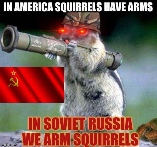 Bazooka Squirrel Meme | IN AMERICA SQUIRRELS HAVE ARMS; IN SOVIET RUSSIA WE ARM SQUIRRELS | image tagged in memes,bazooka squirrel | made w/ Imgflip meme maker