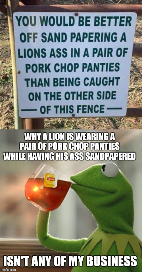 WHY A LION IS WEARING A PAIR OF PORK CHOP PANTIES WHILE HAVING HIS ASS SANDPAPERED; ISN'T ANY OF MY BUSINESS | image tagged in memes,but thats none of my business | made w/ Imgflip meme maker