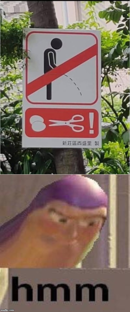 Hmm | image tagged in buzz lightyear hmm | made w/ Imgflip meme maker