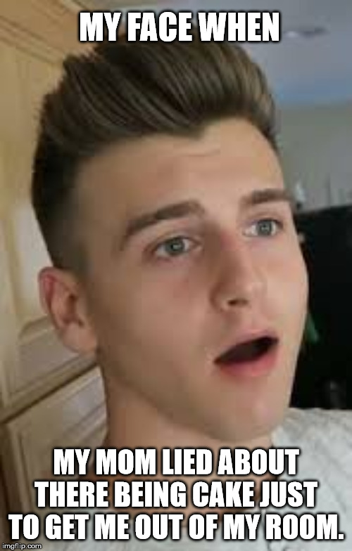 MY FACE WHEN; MY MOM LIED ABOUT THERE BEING CAKE JUST TO GET ME OUT OF MY ROOM. | image tagged in sad day,tal fishman | made w/ Imgflip meme maker
