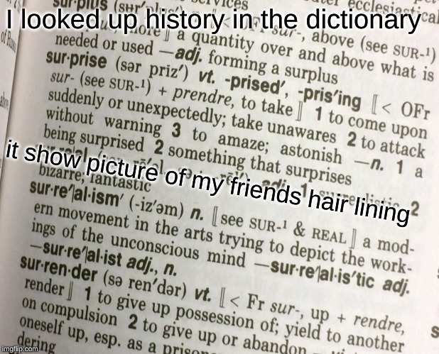 I looked up history in the dictionary; it show picture of my friends hair lining | image tagged in memes | made w/ Imgflip meme maker