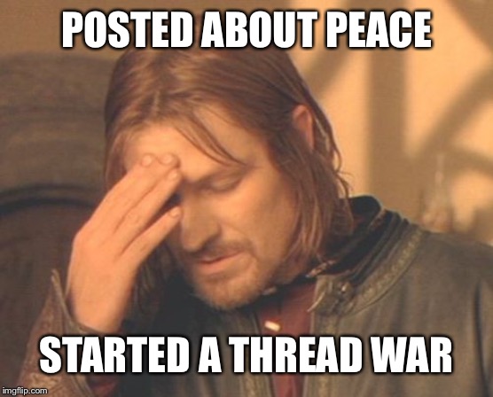 Frustrated Boromir Meme | POSTED ABOUT PEACE; STARTED A THREAD WAR | image tagged in memes,frustrated boromir | made w/ Imgflip meme maker