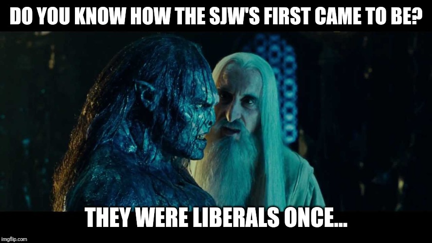They were liberals once | DO YOU KNOW HOW THE SJW'S FIRST CAME TO BE? THEY WERE LIBERALS ONCE... | image tagged in sjw,lord of the rings,political,liberals | made w/ Imgflip meme maker