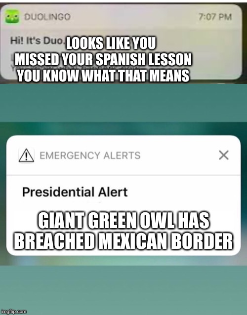 LOOKS LIKE YOU MISSED YOUR SPANISH LESSON YOU KNOW WHAT THAT MEANS; GIANT GREEN OWL HAS BREACHED MEXICAN BORDER | image tagged in blank white template,presidential alert | made w/ Imgflip meme maker