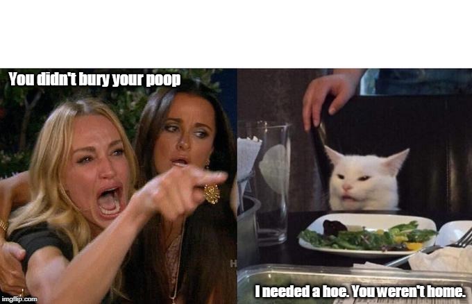Litter Bug | You didn't bury your poop; I needed a hoe. You weren't home. | image tagged in memes,woman yelling at cat,smudge the cat | made w/ Imgflip meme maker