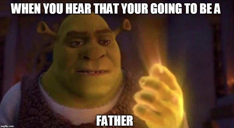 Shrek Glowing Hand | WHEN YOU HEAR THAT YOUR GOING TO BE A; FATHER | image tagged in shrek glowing hand | made w/ Imgflip meme maker
