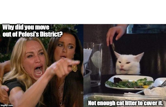 Upward Mobility | Why did you move out of Pelosi's District? Not enough cat litter to cover it. | image tagged in memes,woman yelling at cat,smudge the cat,nancy pelosi,pelosi | made w/ Imgflip meme maker