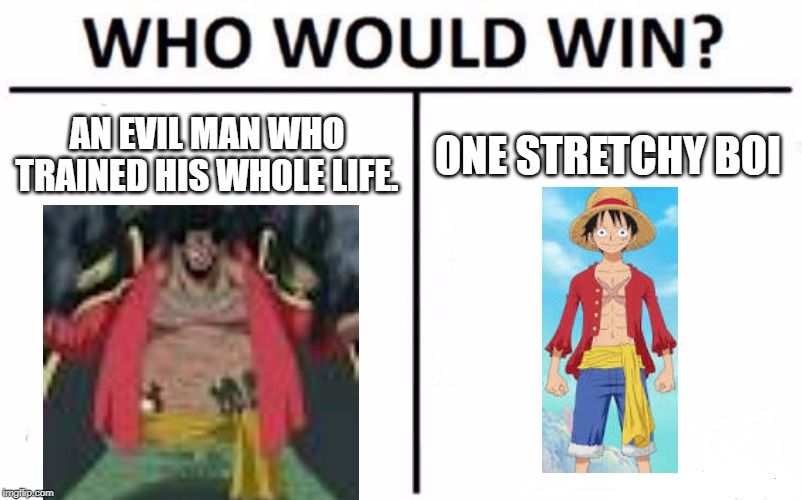 Who Would Win? | AN EVIL MAN WHO TRAINED HIS WHOLE LIFE. ONE STRETCHY BOI | image tagged in memes,who would win | made w/ Imgflip meme maker