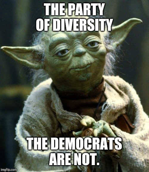 Neither are the republicans but when you have 6 white frontrunners it shows. | THE PARTY OF DIVERSITY; THE DEMOCRATS ARE NOT. | image tagged in memes,star wars yoda | made w/ Imgflip meme maker
