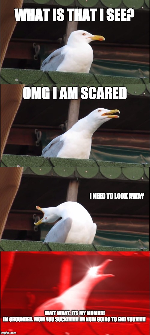 Inhaling Seagull Meme | WHAT IS THAT I SEE? OMG I AM SCARED; I NEED TO LOOK AWAY; WAIT WHAT. ITS MY MOM!!!!! IM GROUNDED. MOM YOU SUCK!!!!!!!! IM NOW GOING TO END YOU!!!!!!! | image tagged in memes,inhaling seagull | made w/ Imgflip meme maker