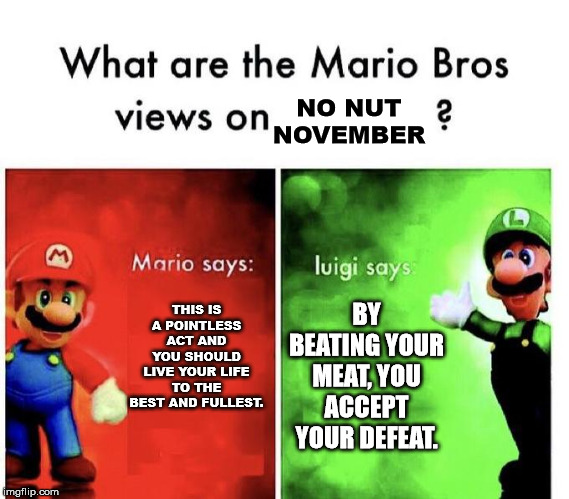 Mario Bros Views | NO NUT NOVEMBER; THIS IS A POINTLESS ACT AND YOU SHOULD LIVE YOUR LIFE TO THE BEST AND FULLEST. BY BEATING YOUR MEAT, YOU ACCEPT YOUR DEFEAT. | image tagged in mario bros views | made w/ Imgflip meme maker