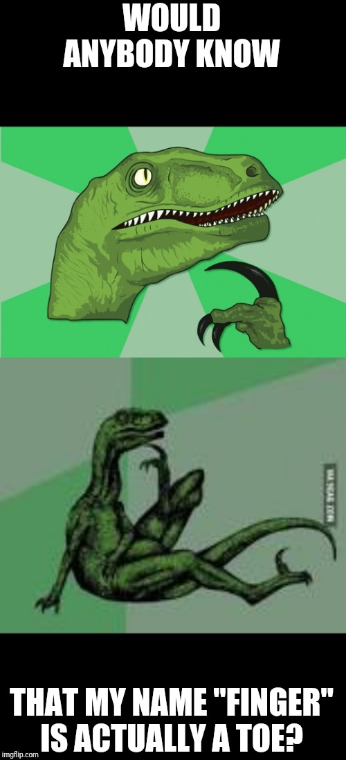 WOULD ANYBODY KNOW; THAT MY NAME "FINGER" IS ACTUALLY A TOE? | image tagged in new philosoraptor | made w/ Imgflip meme maker