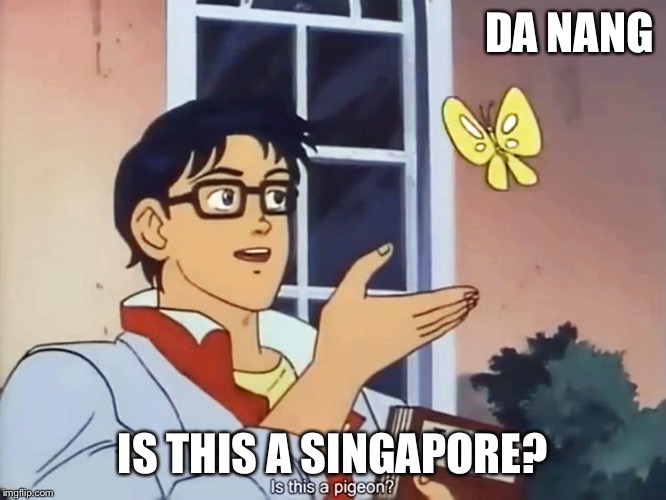ANIME BUTTERFLY MEME | DA NANG; IS THIS A SINGAPORE? | image tagged in anime butterfly meme | made w/ Imgflip meme maker