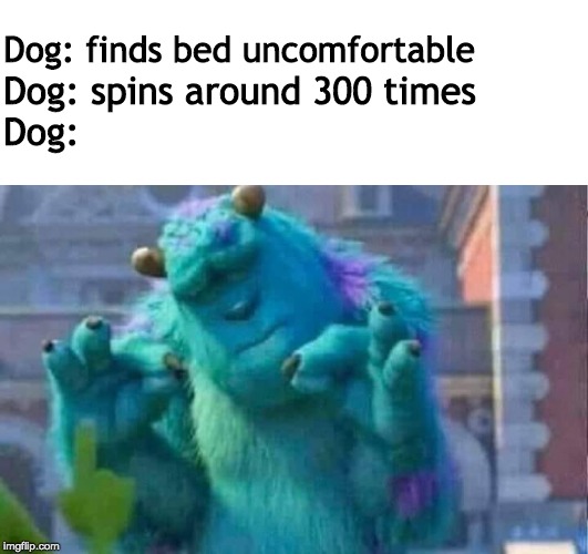 Why though? | Dog: finds bed uncomfortable; Dog: spins around 300 times
Dog: | image tagged in sully shutdown | made w/ Imgflip meme maker