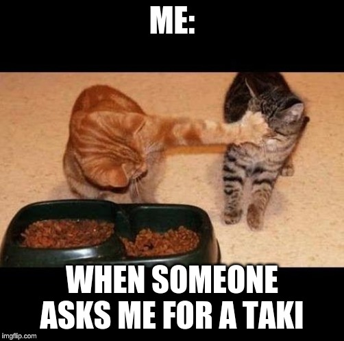cats share food | ME:; WHEN SOMEONE ASKS ME FOR A TAKI | image tagged in cats share food | made w/ Imgflip meme maker