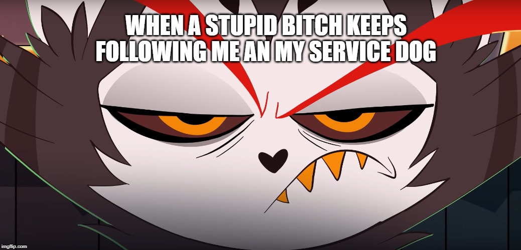 Service dog | WHEN A STUPID BITCH KEEPS FOLLOWING ME AN MY SERVICE DOG | image tagged in service dog,karen,bitch | made w/ Imgflip meme maker