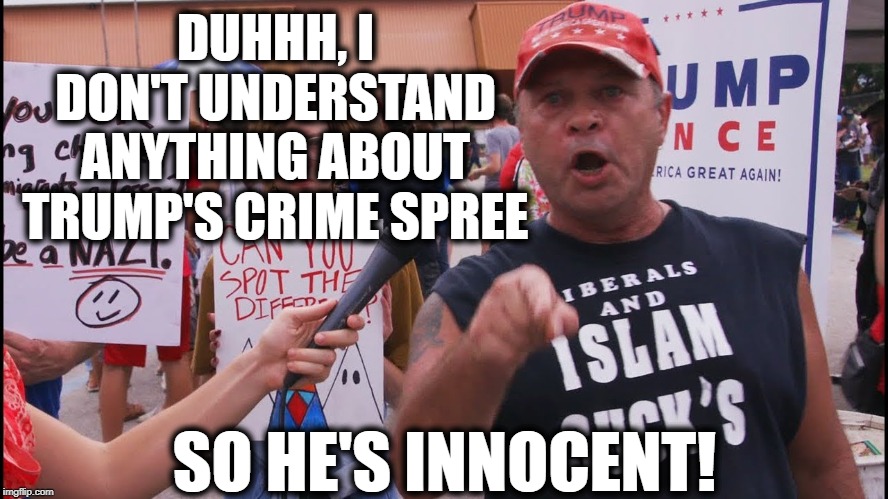 Sounds About Right | DUHHH, I DON'T UNDERSTAND ANYTHING ABOUT TRUMP'S CRIME SPREE; SO HE'S INNOCENT! | image tagged in donald trump,impeach trump,traitor,treason,stupid people,crime | made w/ Imgflip meme maker