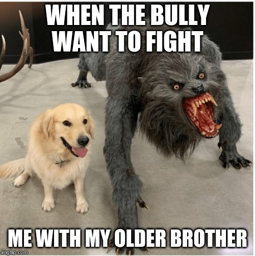 dog wolf | WHEN THE BULLY WANT TO FIGHT; ME WITH MY OLDER BROTHER | image tagged in dog wolf | made w/ Imgflip meme maker