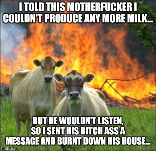 Evil Cows Meme | I TOLD THIS MOTHERFUCKER I COULDN'T PRODUCE ANY MORE MILK... BUT HE WOULDN'T LISTEN, SO I SENT HIS BITCH ASS A MESSAGE AND BURNT DOWN HIS HOUSE... | image tagged in memes,evil cows | made w/ Imgflip meme maker