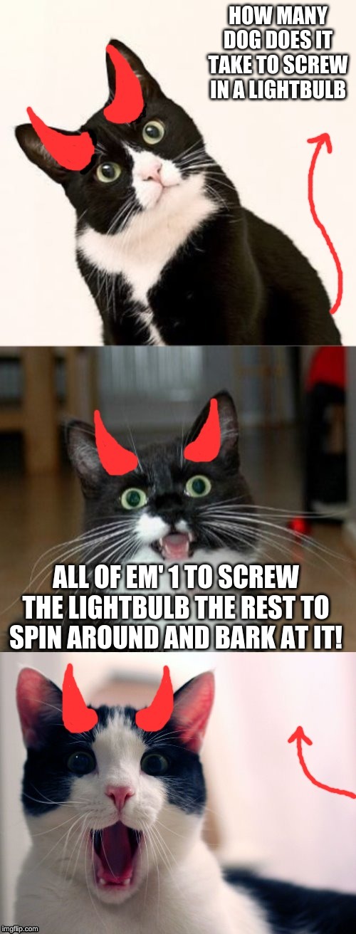 The template goes to my good friend Ememeon link in comments :). | HOW MANY DOG DOES IT TAKE TO SCREW IN A LIGHTBULB; ALL OF EM' 1 TO SCREW THE LIGHTBULB THE REST TO SPIN AROUND AND BARK AT IT! | image tagged in bad pun ememeon | made w/ Imgflip meme maker
