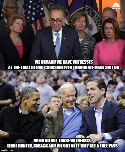 WE DEMAND WE HAVE WITNESSES AT THE TRIAL OF OUR CHOOSING EVEN THOUGH WE MADE SHIT UP. NO NO NO NOT THOSE WITNESSES.  LEAVE HUNTER, BARACK AND JOE OUT OF IT THEY GET A FREE PASS. | image tagged in democrat congressmen,hunter obama and joe biden | made w/ Imgflip meme maker