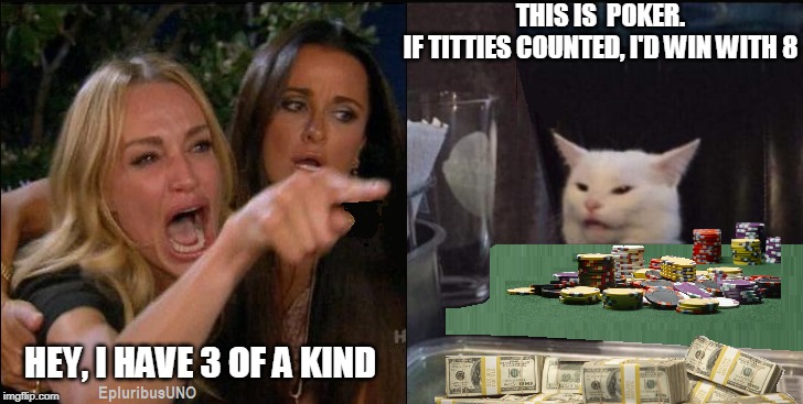 Three of a Kind | THIS IS  POKER.
IF TITTIES COUNTED, I'D WIN WITH 8; HEY, I HAVE 3 OF A KIND | image tagged in poker,smudge the cat,lady yelling at cat,tits | made w/ Imgflip meme maker