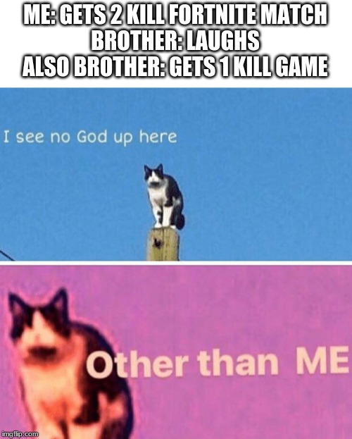 Hail pole cat | ME: GETS 2 KILL FORTNITE MATCH
BROTHER: LAUGHS
ALSO BROTHER: GETS 1 KILL GAME | image tagged in hail pole cat | made w/ Imgflip meme maker
