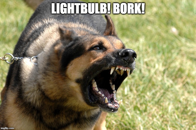 Barking dog | LIGHTBULB! BORK! | image tagged in barking dog | made w/ Imgflip meme maker