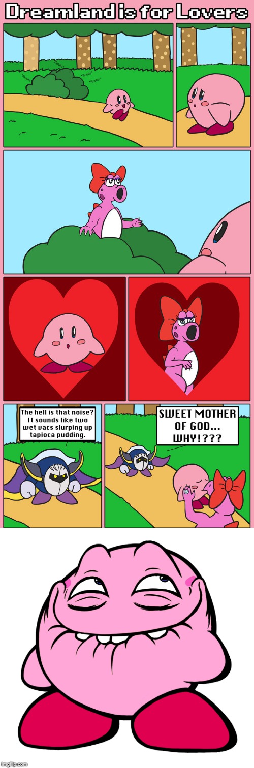 KIRBY WTF? | image tagged in kirby,meta knight | made w/ Imgflip meme maker