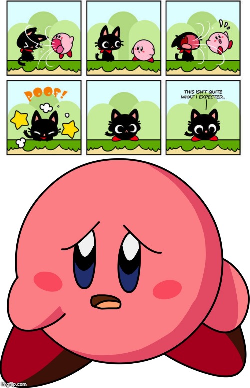 image tagged in memes,kirby,cats | made w/ Imgflip meme maker