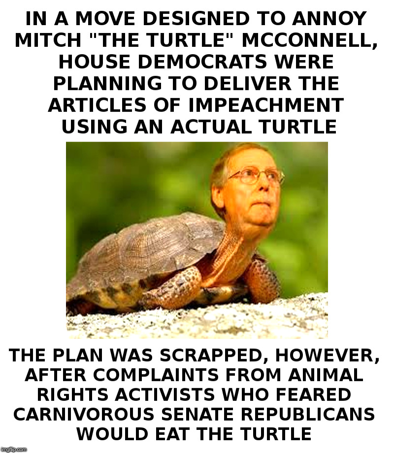 Democrats Scrap Turtle Plan | image tagged in mitch mcconnell,turtle,democrats,animal rights,carnivores,no soup for you | made w/ Imgflip meme maker