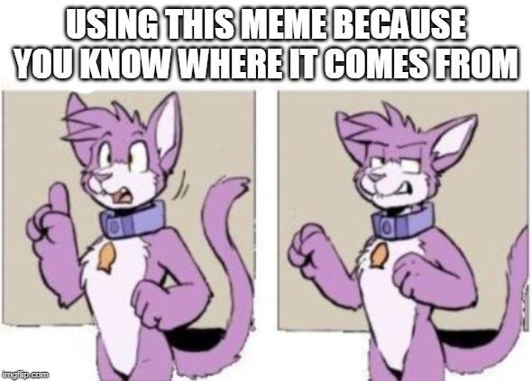 Furry hold on | USING THIS MEME BECAUSE YOU KNOW WHERE IT COMES FROM | image tagged in furry hold on | made w/ Imgflip meme maker
