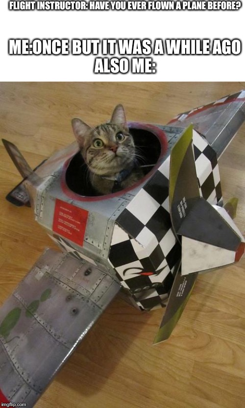 GeoFS 410 RCAF be like | FLIGHT INSTRUCTOR: HAVE YOU EVER FLOWN A PLANE BEFORE? ME:ONCE BUT IT WAS A WHILE AGO
ALSO ME: | image tagged in airplane cat | made w/ Imgflip meme maker