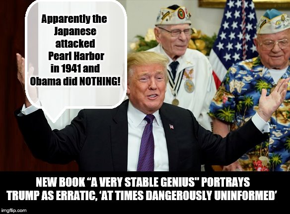 Pearl Who? | Apparently the 
Japanese attacked
 Pearl Harbor in 1941 and Obama did NOTHING! NEW BOOK “A VERY STABLE GENIUS" PORTRAYS TRUMP AS ERRATIC, ‘AT TIMES DANGEROUSLY UNINFORMED’ | image tagged in pearl harbor,trump is a moron,donald trump is an idiot,impeach trump,stable genius | made w/ Imgflip meme maker