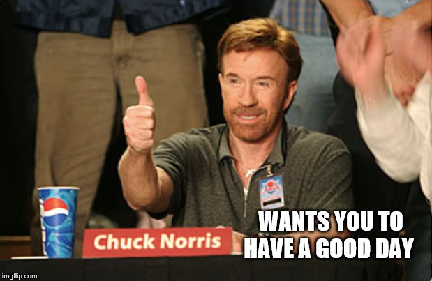 Chuck Norris Approves | WANTS YOU TO HAVE A GOOD DAY | image tagged in memes,chuck norris approves,chuck norris | made w/ Imgflip meme maker
