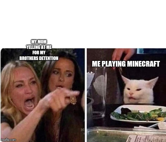 Lady screams at cat | MY MOM YELLING AT ME FOR MY BROTHERS DETENTION; ME PLAYING MINECRAFT | image tagged in lady screams at cat | made w/ Imgflip meme maker